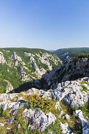 Aggtelek national park aggtelek national park (hungarian: Aggtelek Wall Art Fine Art America