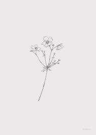 Anemone Flower Tattoo Black And White Flowers Japanese Anemone In 2020 Wildflower Drawing Delphinium Tattoo Flower Drawing