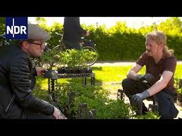 The receivedelay is handy for dimmers and roller shutters for example. Gartnern Mit Profi Hilfe Die Nordreportage Ndr Youtube