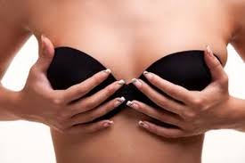 Berbeda dengan yang jantan, payudara mamalia betina memiliki kelenjar susu yang berfungsi untuk memompa susu bagi bayinya. Wanita Pun Gemar Lihat Payudara