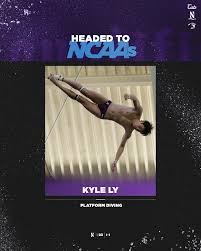 Beach Day!! 🏖️ ☀️ 😎 Go 'Cats!! #gocats #wnu #nu #northwestern  #northwesternuniversity #wildcats #northwesternu #levelup #nuswimdive