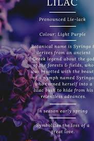 Pin By Mey Linda On Flowers Meaning Purple Flower Bouquet Purple Flower Arrangements Purple Color Meaning