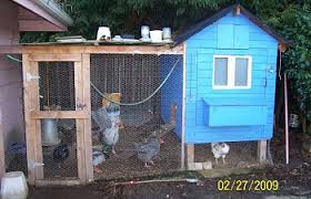Chicken house does not permit smoking in any of its rooms, but allows smoking in designated areas. Skys The Limit Chicken Coop Backyard Chickens Learn How To Raise Chickens