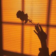 Pin By Nikki Dulaney On Little Bit Of Sunshine Orange Aesthetic Shadow Pictures Aesthetic Colors