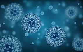 Lässt sich ein knoten tasten, kommen immer bedrohliche gedanken auf. Epstein Barr Virus Ebv Ubertragung Symptome Behandlung Onmeda De