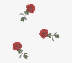 Check spelling or type a new query. Roses Rosa Flor Flower Drawingflowers Tumblr Aesthetic Wallpaper 540x637 Png Download Pngkit