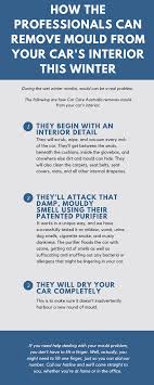 Car Care Is Australia Largest Mobile Car Detailing Network With Over 23 Years Experience Offering A Full List Of Car Care Car Cleaning Services Car Detailing