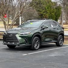 Image result for Nori Green 2024 LC