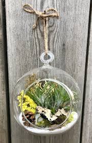 Christmas Holiday Air Plant Glass Terrarium Ornament Etsy In 2020 Air Plant Ornament Air Plants Glass Terrarium