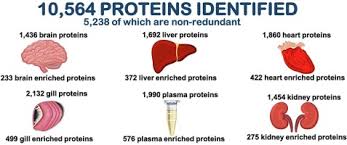 Plasma Proteins And Their Functions For Nursing .Pptx