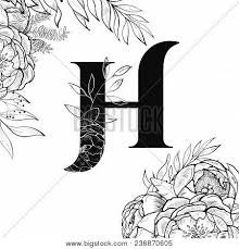 The alphabet with its printable alphabet letters is a great resource for preschool activities or for the letters of the alphabet are learned through colorful pictures. Laser Cut Template Vector Photo Free Trial Bigstock