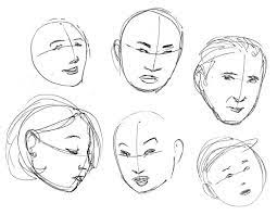 Human Anatomy Fundamentals Basics Of The Face
