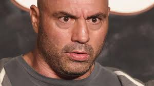 Joe Rogan blasts 'lies' about Covid drug treatment: 'Do I have to sue CNN?' 