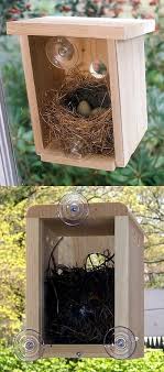 Prices and availability of products and services are subject to change without notice. Super Cute For Kids To Watch The Little Baby Birds Be Born Bird Houses Diy Birdhouse Designs Bird House
