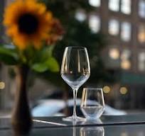 Atelier 15.75oz Riesling White Wine Glasses (Set of 6)