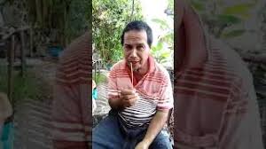 Sepekan sebelumnya, empat babi berkeliaran di sana. Cara Halau Babi Hutan Kera Dari Rosakkan Tanaman Youtube