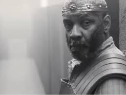 BLACK PARIS TOURS has been bragging to our guests about the exploits of  African military genius Hannibal Barca for 25 years! How he and his  soldiers crossed the Alps in 218 in