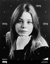 Partridge susan Black and White Stock Photos & Images