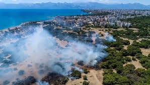 Check spelling or type a new query. Antalya Da Korkutan Yangin Kum Tasidilar Ntv