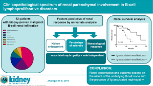 And renal parenchymal disease refers to the damage that occurs in renal parenchyma. Clinicopathological Spectrum Of Renal Parenchymal Involvement In B Cell Lymphoproliferative Disorders Kidney International
