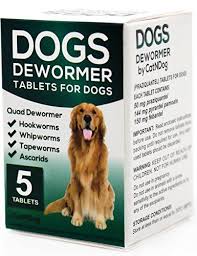 Catndog Quad Dewormer For Dogs Medicine Pills Wormer For Large And Puppy 5 Tablets Dog Medicine Wormer Deworming Dogs