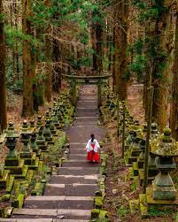 まるでジブリにでてきそうな神秘的な世界 triproud 風景 美しい風景 綺麗 景色