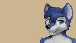I am a leopard of an age appropriate to holding a pen. Hd Wallpaper Furry Wolf Blue Jamesfoxbr Studio Shot Copy Space Headshot Wallpaper Flare