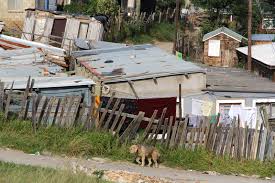 List of south african newspapers for news and information on sports, entertainments, politics, jobs, education, lifestyles, travel, real estate, and business. Inequality In South Africa Is A Ticking Timebomb Uct News