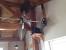 Vertical Ceiling Fan