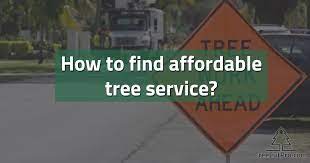 We pride ourselves on the quality of our work as well as our. Afforadble And Cheap Tree Service Near You Treecutpro