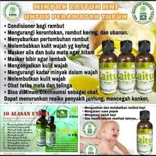 Minyak Zaitun Hni Hpai Zaitun Minyak Kulit