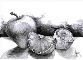 Today a couple of fruit bowls sketched in procreate on the ipad. 53 Still Life Drawing Ideas Still Life Drawing Fruit Art Drawings Vegetable Drawing