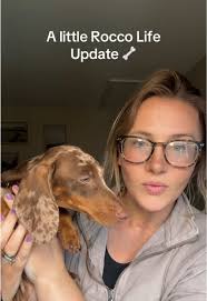 Rocco’s Life Update: The Stylish Dachshund 🦴