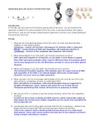 Some of the worksheets displayed are mitosis web quest 1, meiosis virtual lab answer key, mitosis and meiosis webquest, cell cycle and cancer virtual lab work answer key, virtual cell work answer key, cell cycle and mitosis webquest, honors biology ninth grade pendleton high school, online. Cell Cycle In Onion Roots Lab Key Cell Cycle Mitosis