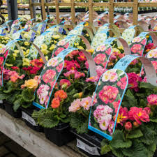 Maybe you would like to learn more about one of these? Growtrade Ireland S Online Source For Latest News And Insight For The Horticulture Sportsturf Parks And Landscape Industries