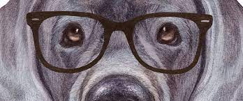Maybe you would like to learn more about one of these? Put On The Dog In Photoshop