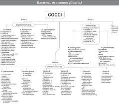 Usmle Step 1 Qbank Microbiology Study Medical Laboratory Scientist Medical Laboratory Science