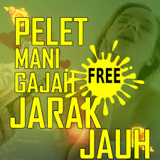 We did not find results for: Telecharger Pelet Mani Gajah Jarak Jauh Google Play Apps Ayxzggooizre Mobile9