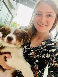 Summer pet sitting jobs with experienced sitter