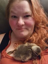 Introduction to sailing