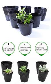 Sunflowers are beautiful flowers with bright yellow petals, evoking the sense of a perfect. Disposable Cheap Price Black Plastic Plant Flower Nursery Grow Pots Easy To Move Soft Hand Nutrition Agriculture Pot Buy Plastic Nursery Pots Plastic Nursery Bags Flower Nutrition Pot Product On Alibaba Com