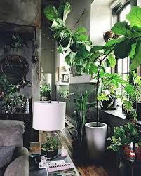 Interior Design Home Decor House Decoration Modern Industrial Grey Indoor Plants Greenery Decor Home Deco Green Interiors