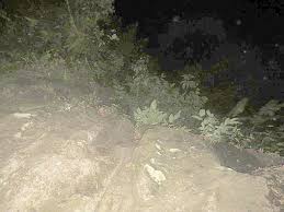 These young women mysteriously disappeared while taking a day hike near the town of boquete on april 1, 2014. Another True Crime Etc Blog Lisanne Froon 22 And Her Roommate Kris Kremers