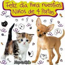 Pin De Honey Lau En Amo A Los Animales Feliz Dia Nino Amo A Los Animales Feliz Dia