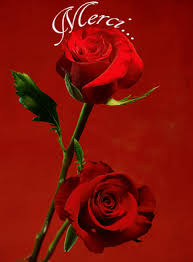 Carte Merci Et Rose Rouge Envoyer Une Carte Remerciement Mariage Des 0 99 Merci Facteur Merci de ne pas copier cette video. carte merci et rose rouge envoyer une