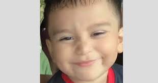 Texas toddler who disappeared from home while playing with dog found alive,  sheriff confirms