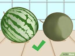 That first sign you need to look for are any dark spots also better known as molds. 3 Ways To Tell If A Watermelon Is Bad Wikihow