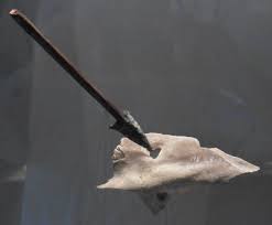 Die menschen haben damals mit steinwerkzeugen gearbeitet und sind noch selbst auf die jagd gegangen. Informationen Des Heimat Und Geschichtsverein Heinade Hellental Merxhausen E V