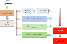 Helicobacter Pylori Infection Following Endoscopic Resection Of Early Gastric Cancer