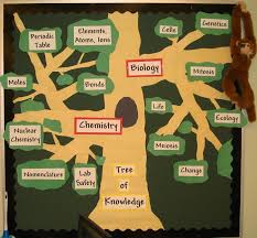 Tree Of Knowledge Biology And Chemistry Bulletin Board Science Bulletin Boards Chemistry Bulletin Boards Chemistry Classroom